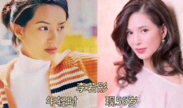 爆料娱乐圈投资女明星,揭秘幕后商业帝国